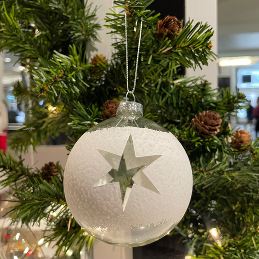 Hand Painted Glass Ornament - Frosted Star (6 Piece Set)